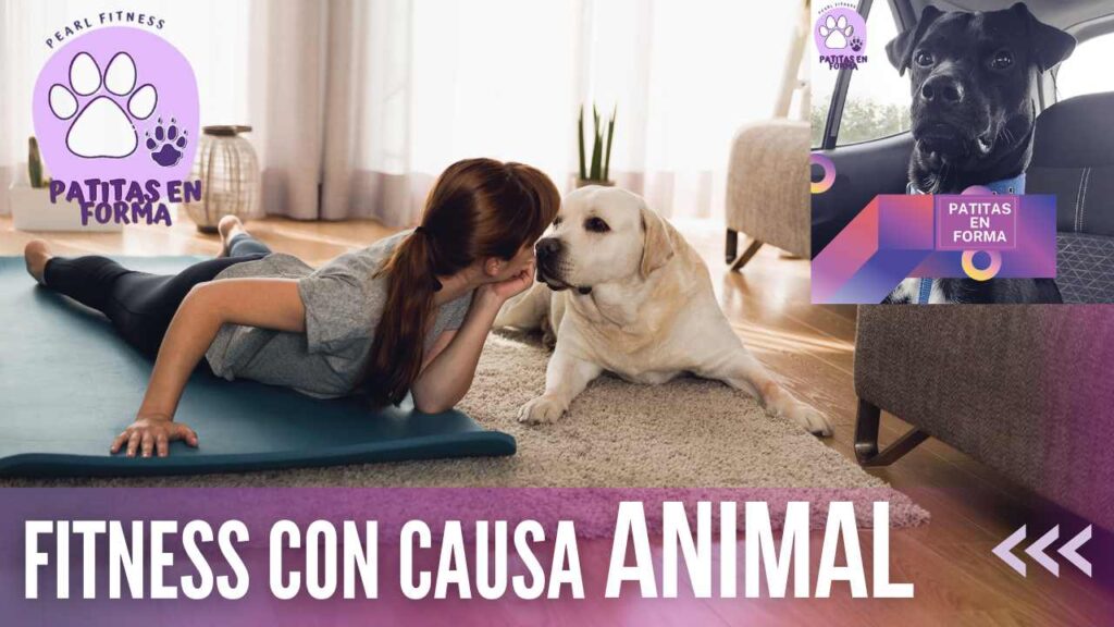 patitas en forma fitness con causa animal